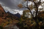Zion N.P